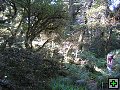 thn_NZ leden-unor 2006 282.jpg